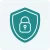Enterprise-security-icon